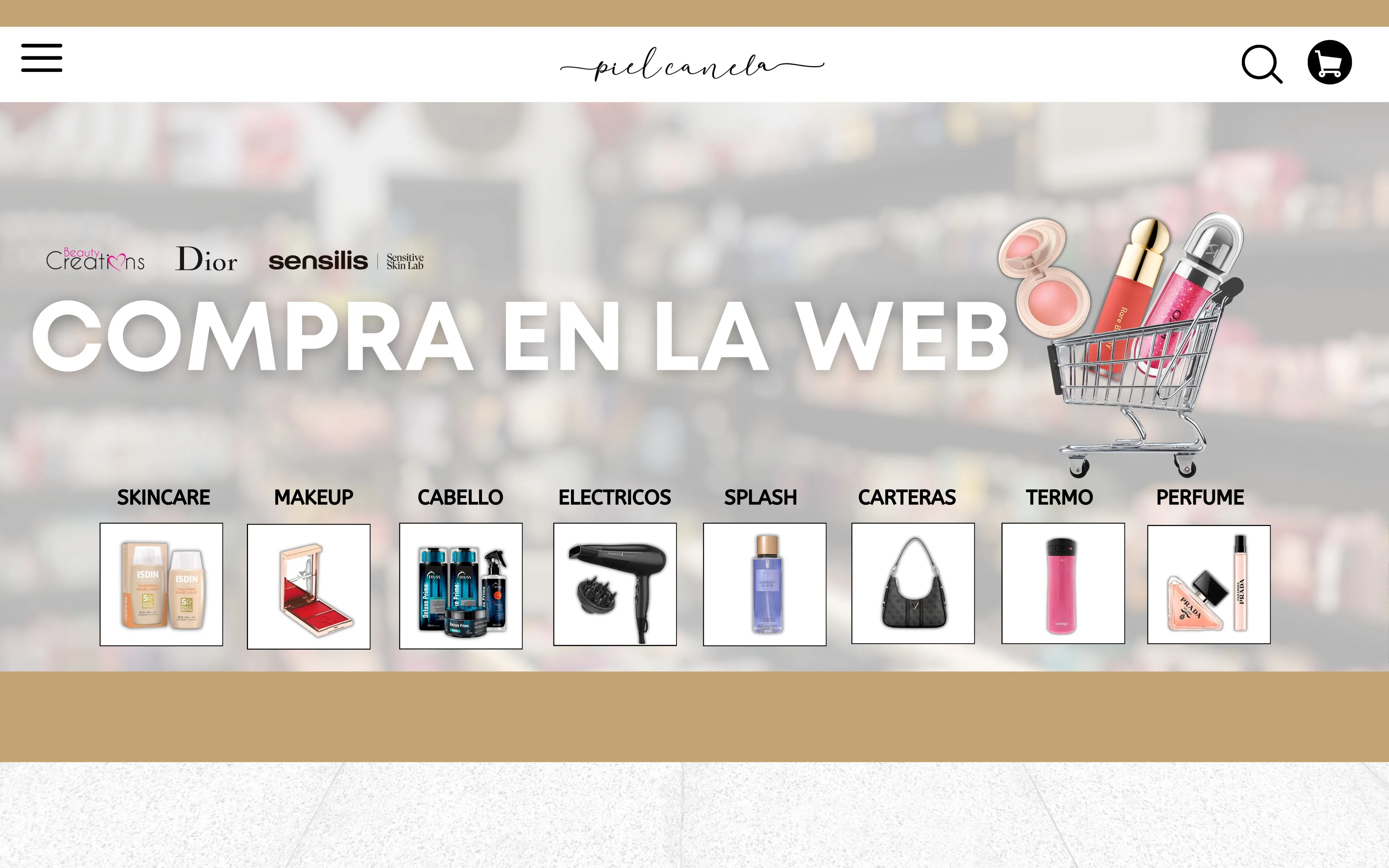 Compra en la web