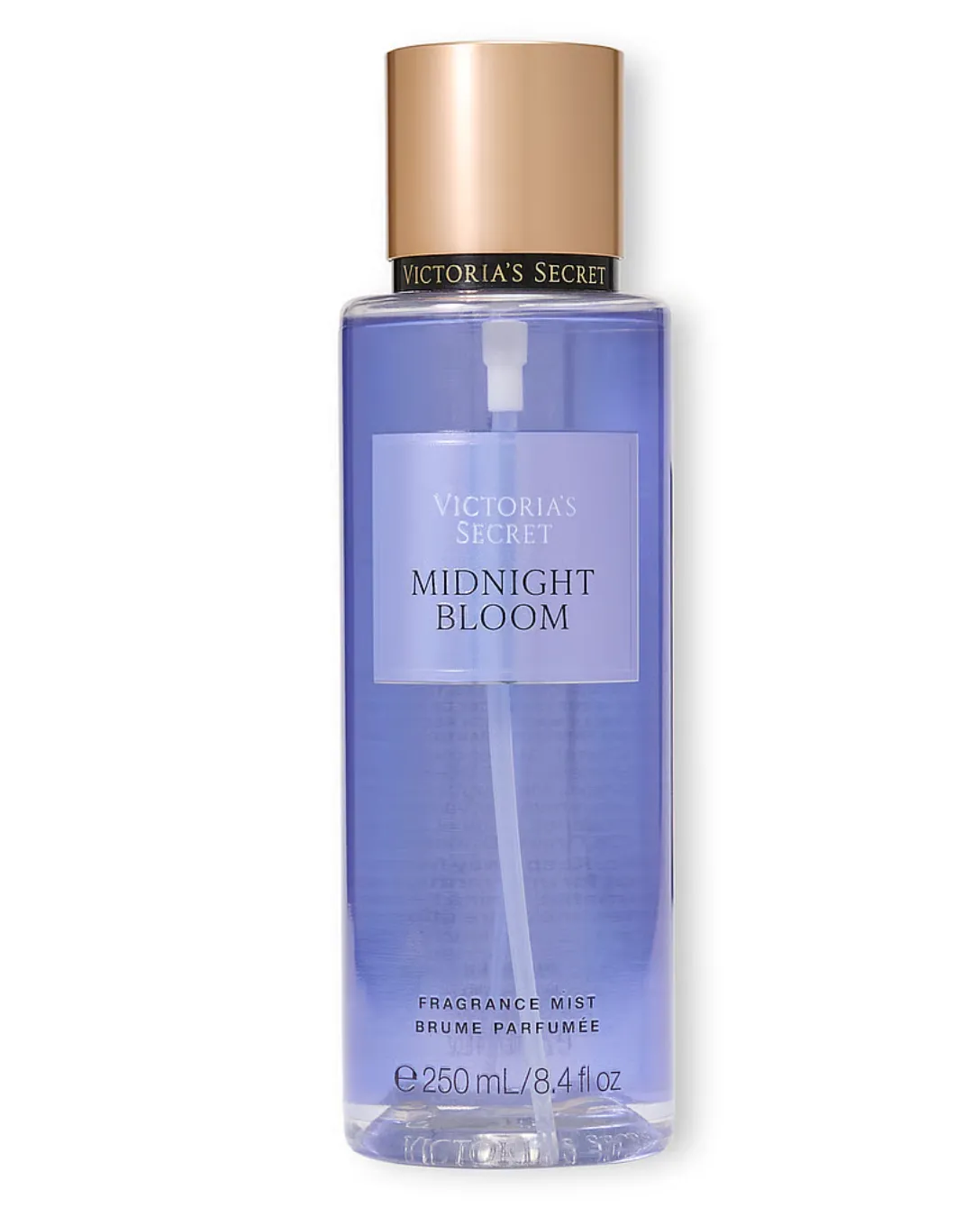 SPLASH MIDNIGHT BLOOM